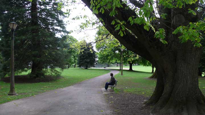 walk