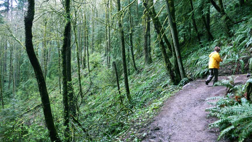 walk