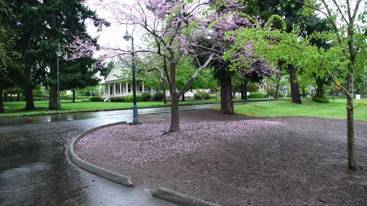 walk