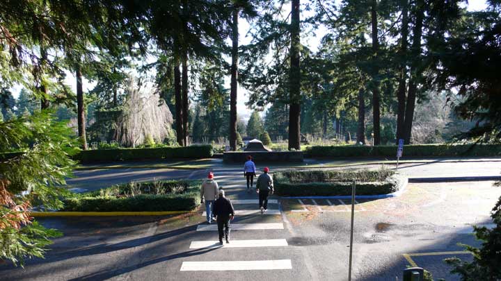 walk