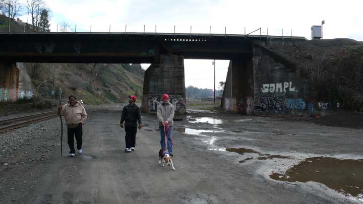 walk