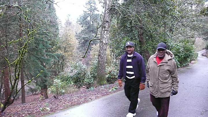 walk