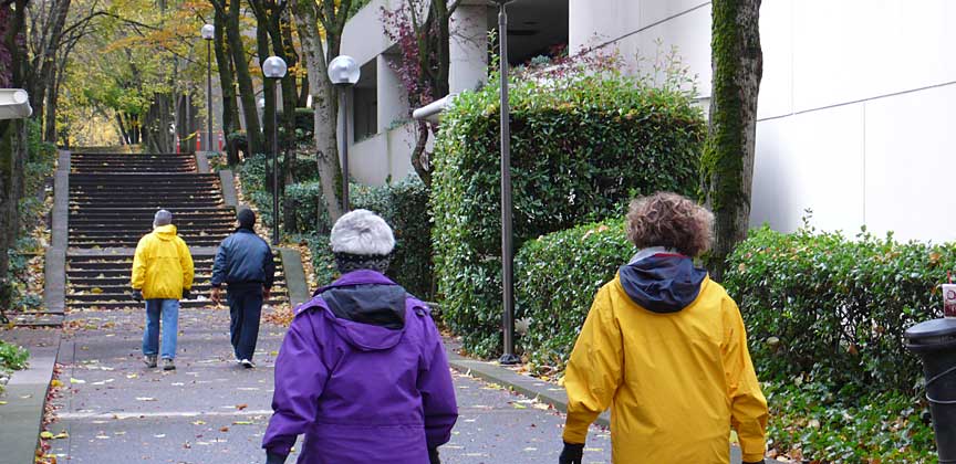 walk