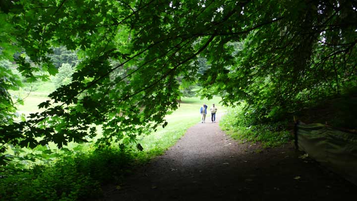 walk