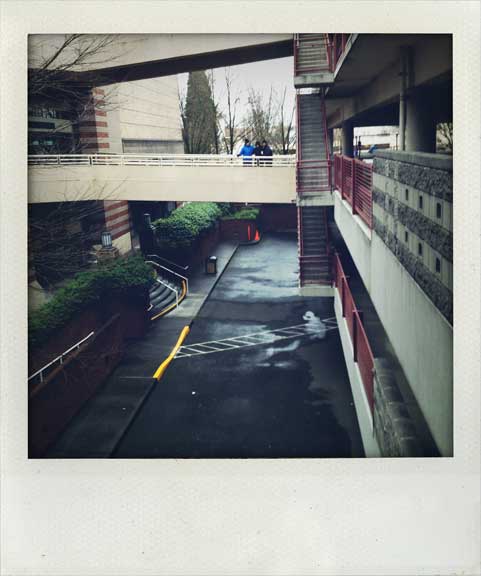 walk