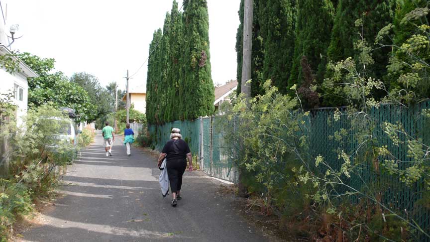 walk