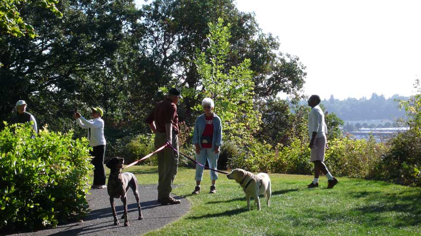 walk