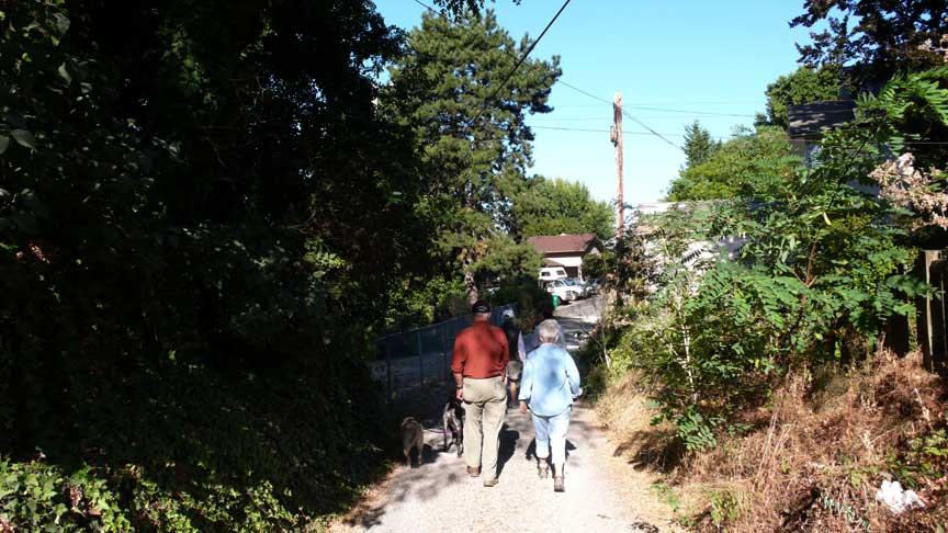 walk